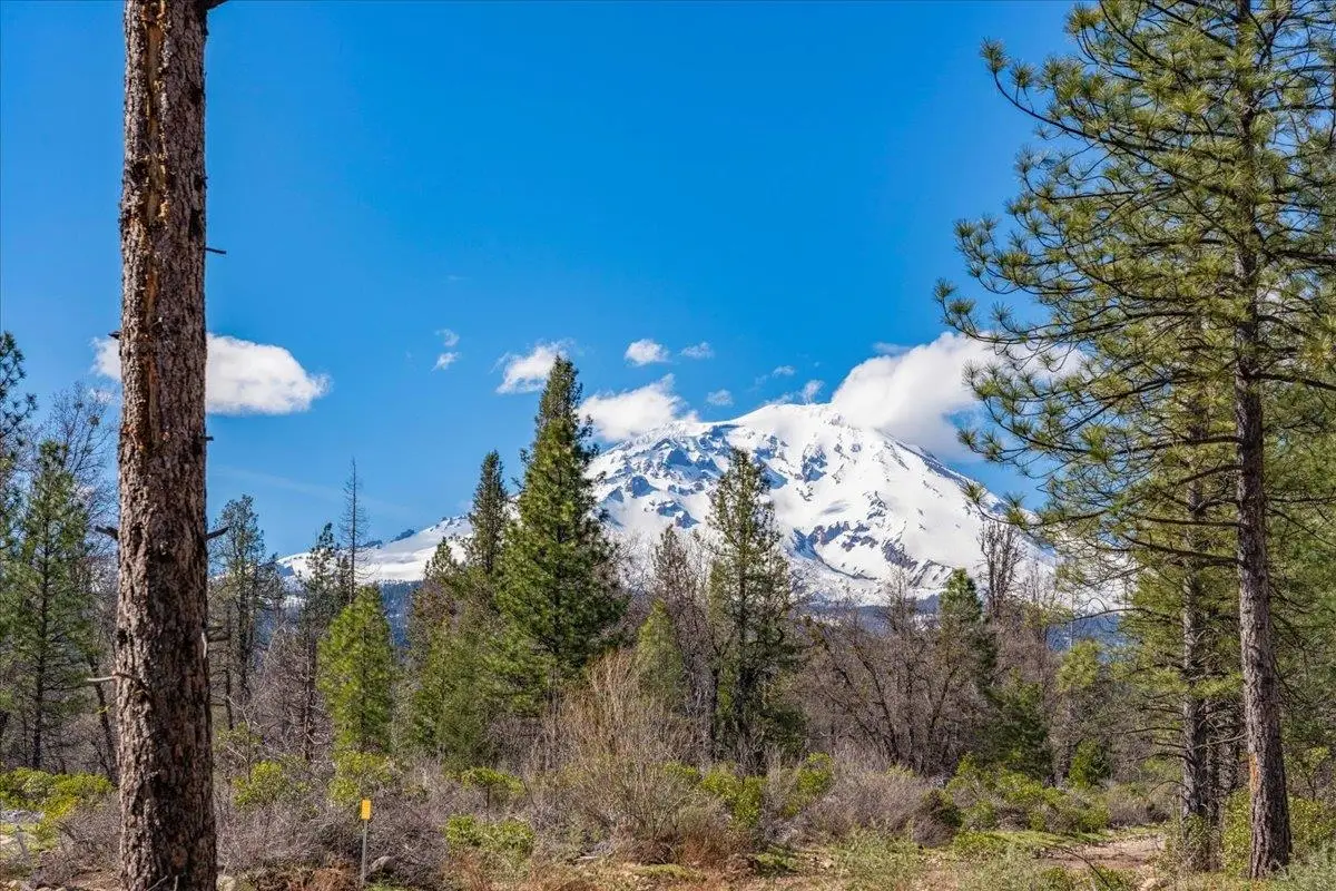 Lot E. Intake Springs Rd, McCloud, CA 96057 - #1