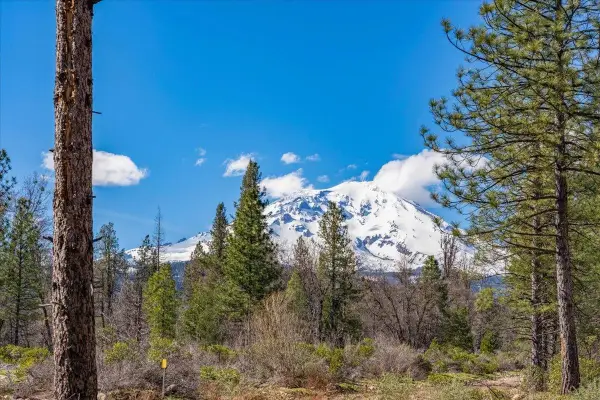 Lot E. Intake Springs Rd, McCloud, CA 96057