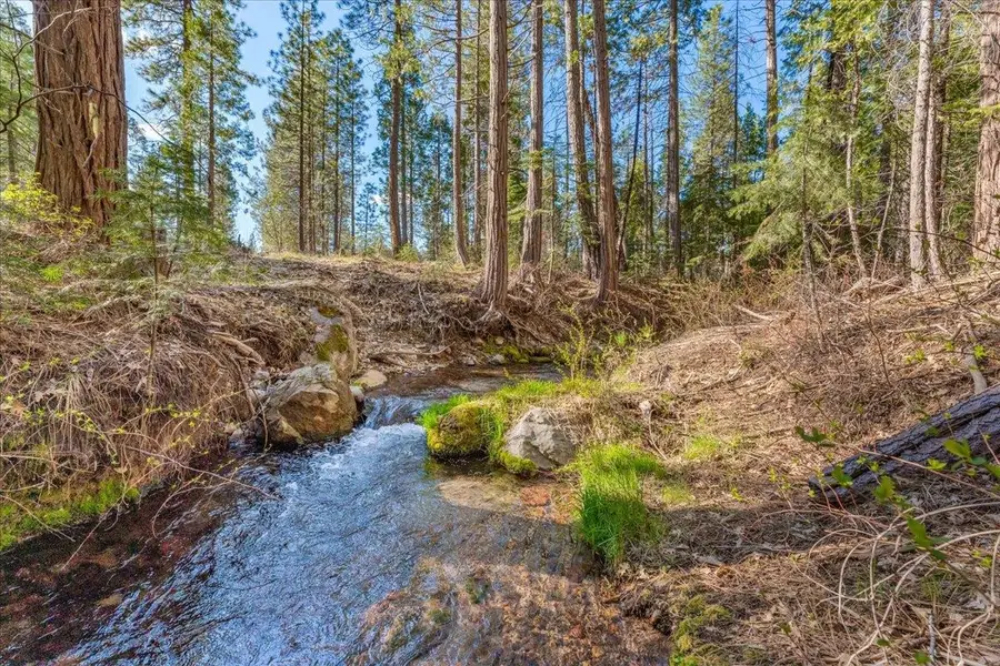 Lot E. Intake Springs Rd, McCloud, CA 96057 - #2