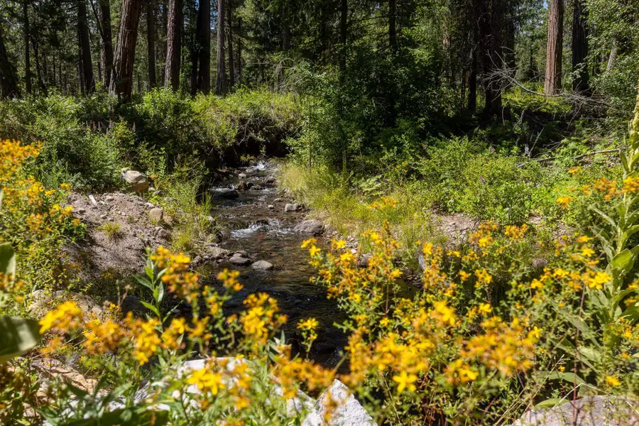 Lot E. Intake Springs Rd, McCloud, CA 96057 - #3