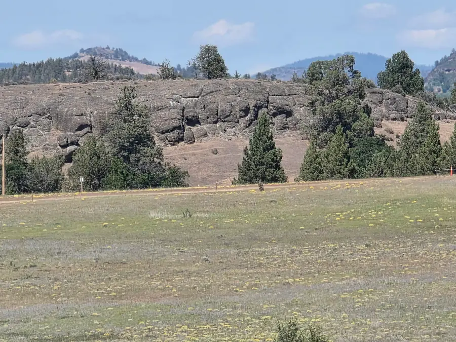0 Desavado, Montague, CA 96064 - #3