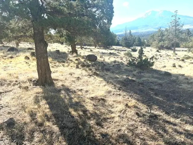 Unit 9-2 Lot 95 Lake Shastina, Mountainwood Dr., Weed, CA 96094 - #2