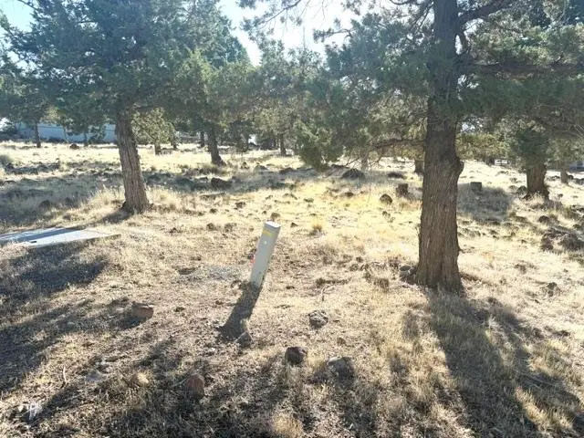 Unit 9-2 Lot 95 Lake Shastina, Mountainwood Dr., Weed, CA 96094 - #3