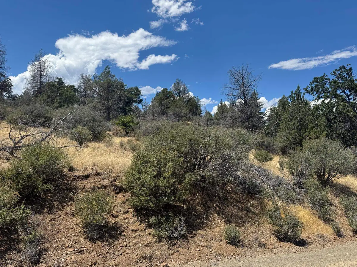 Unit 4 Lot 711 Clark Rd, Hornbrook, CA 96044 - #1