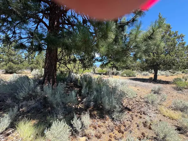 8-1 Lot 234 Lakeside Dr, Weed, CA 96094