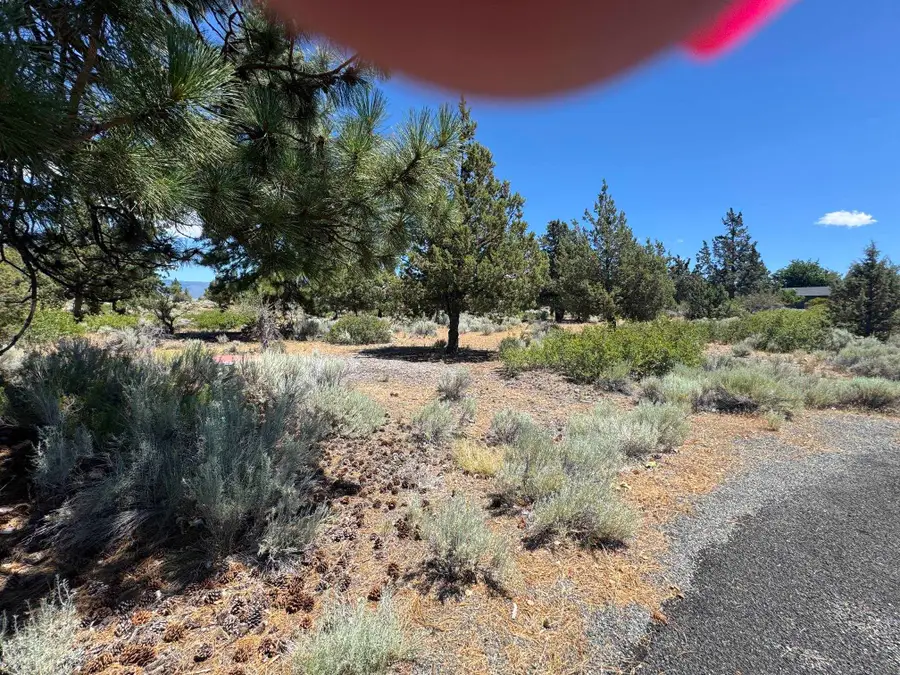 8-1 Lot 234 Lakeside Dr, Weed, CA 96094 - #2