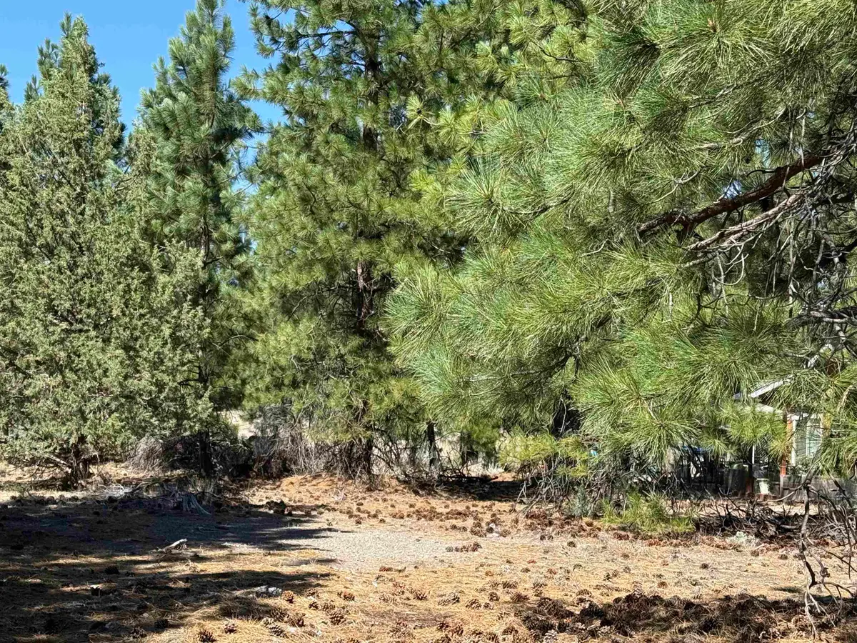 Unit 4 Lot 331 Indian Island Dr, Weed, CA 96094 - #1