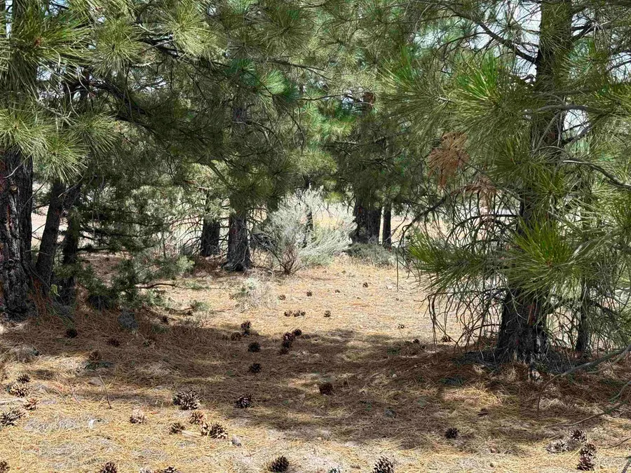 Unit 4 Lot 331 Indian Island Dr, Weed, CA 96094 - #2