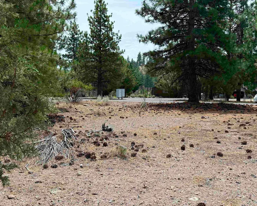 Unit 4 Lot 331 Indian Island Dr, Weed, CA 96094 - #3