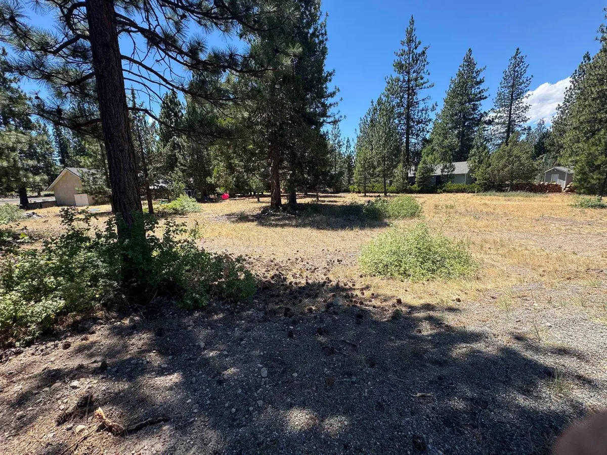 7-1 Lot 110 Grizzly Ct, Weed, CA 96094 - #1