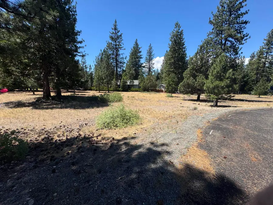 7-1 Lot 110 Grizzly Ct, Weed, CA 96094 - #2