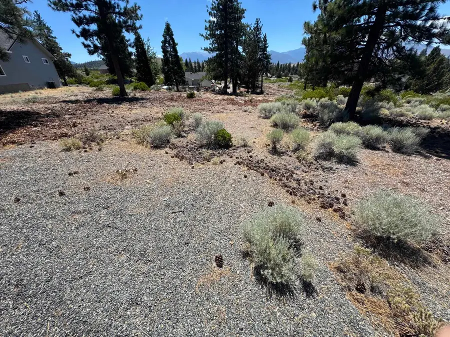 Unit 7-2 Lot 69 Rock Chuck Circle, Weed, CA 96094 - #2
