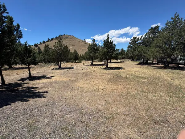 5-4 Lot 164 Mt Blanch, Weed, CA 96094