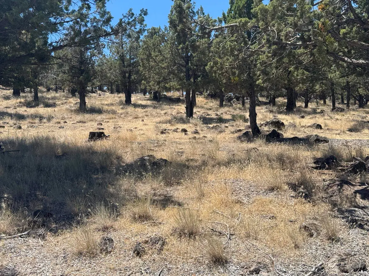 9-2 Lot 227 Stone Crest Dr, Weed, CA 96094 - #1