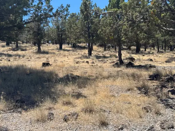 9-2 Lot 227 Stone Crest Dr, Weed, CA 96094