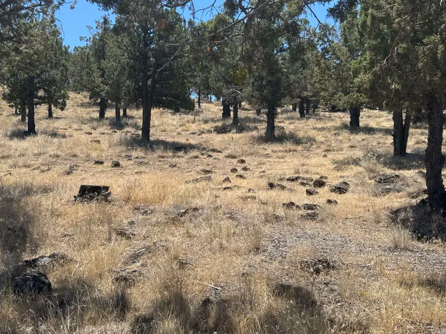 9-2 Lot 227 Stone Crest Dr, Weed, CA 96094 - #2
