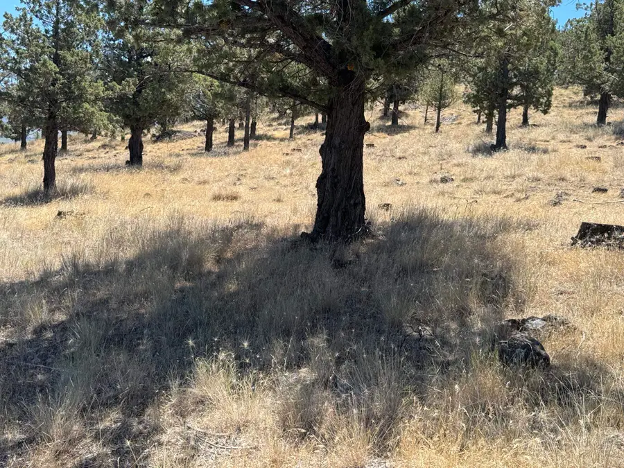9-2 Lot 227 Stone Crest Dr, Weed, CA 96094 - #3
