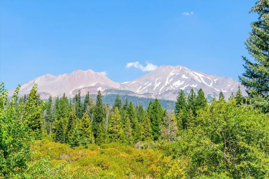 4310 Everitt Memorial Hwy, Mount Shasta, CA 96067 - #3