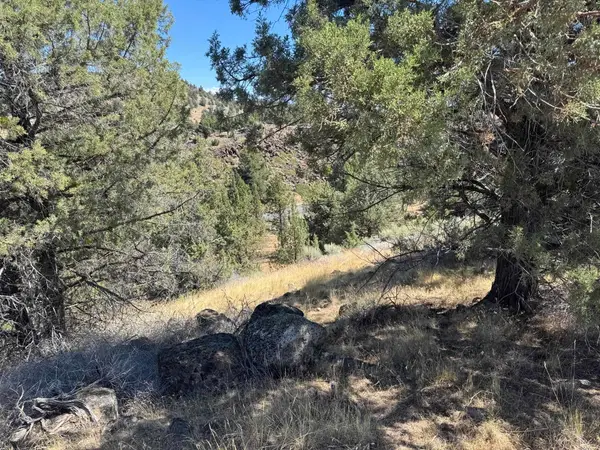 9-2 Lot 131 Elkridge Rd, Weed, CA 96094