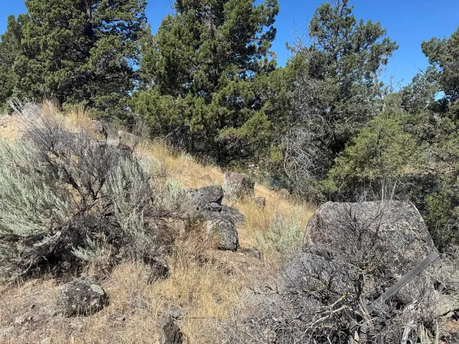 9-2 Lot 131 Elkridge Rd, Weed, CA 96094 - #3
