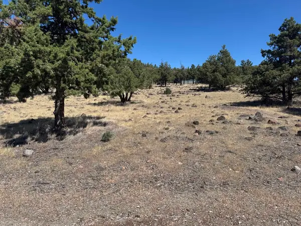 9-2 Lot 97 Shoreline Dr, Weed, CA 96094