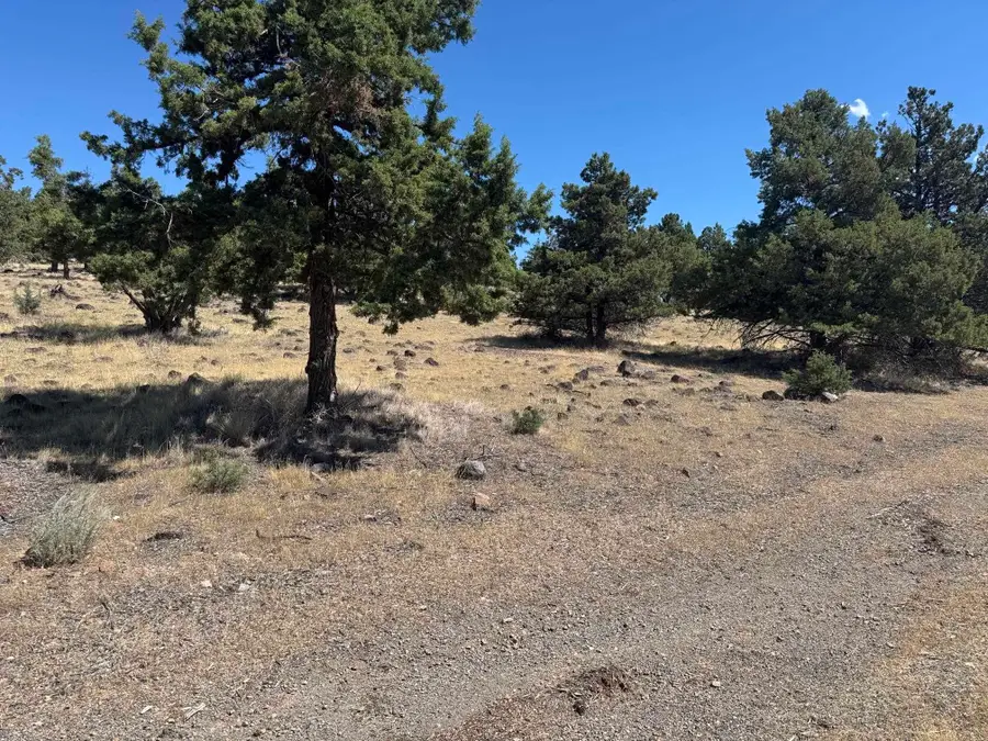 9-2 Lot 97 Shoreline Dr, Weed, CA 96094 - #2