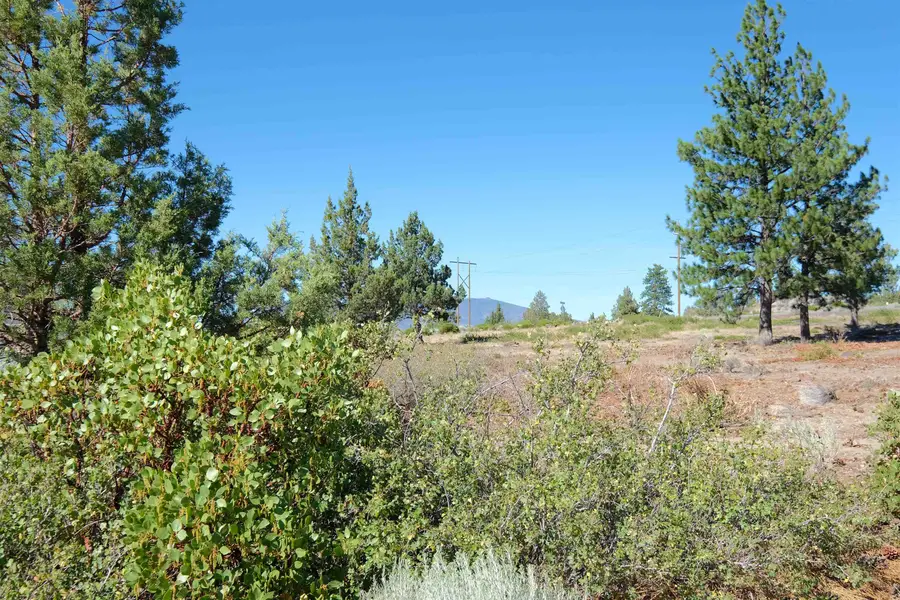 Lot 83 Unit 7-2 Black Bear Rd., Weed, CA 96094 - #2