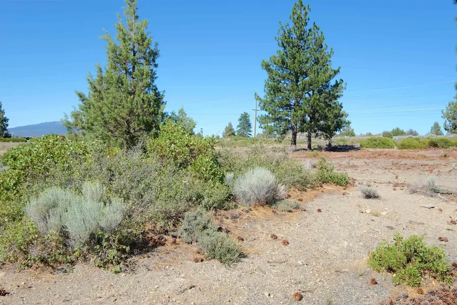 Lot 83 Unit 7-2 Black Bear Rd., Weed, CA 96094 - #3