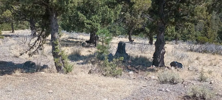 4/520 Indian Hill Dr, Weed, CA 96094 - #2