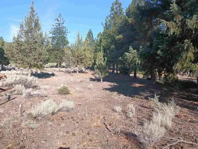 5/193 Venturi Ct, Weed, CA 96094 - #2