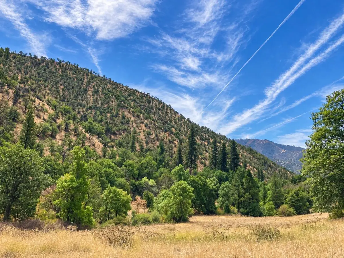 1128 Dutch Creek Rd, Hornbrook Hilt, CA 96050 - #1