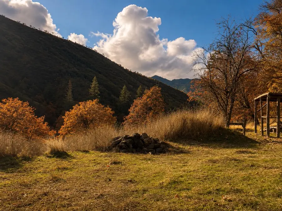 1128 Dutch Creek Rd, Hornbrook Hilt, CA 96050 - #3