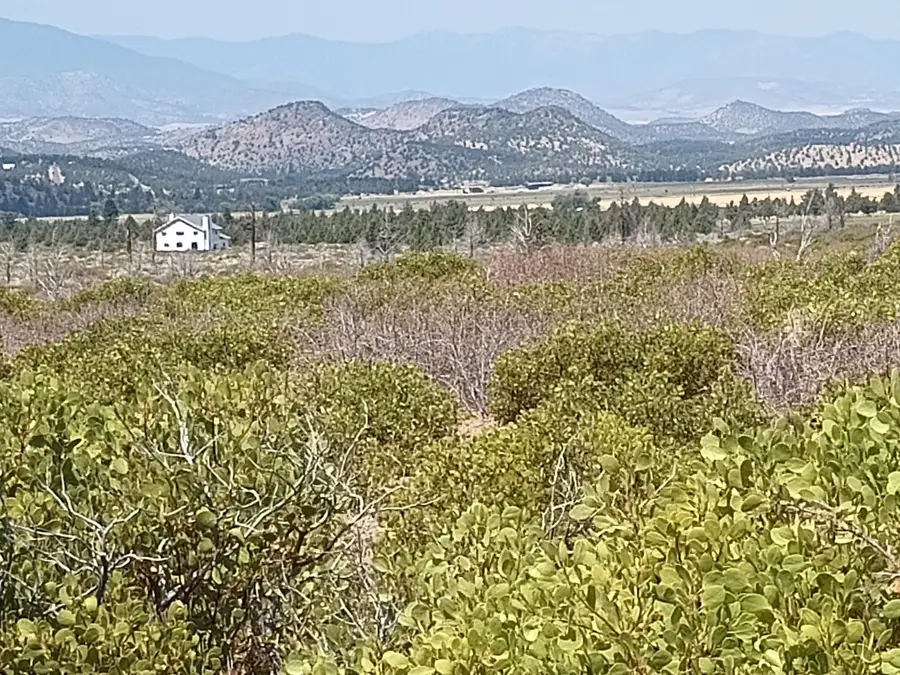 Lots 69-72 Juniper Valley Dr, Weed, CA 96094 - #3