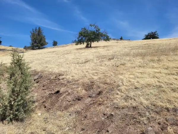 Lot 156 Iron Gate Rd, Hornbrook, CA 96044