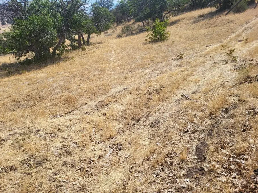 Lot 156 Iron Gate Rd, Hornbrook, CA 96044 - #2