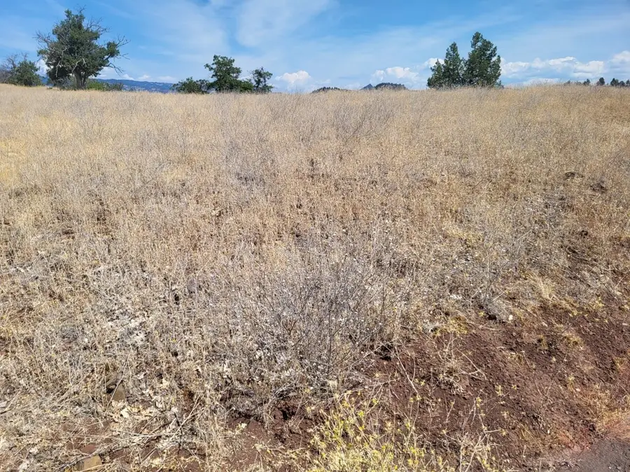 Lot 156 Iron Gate Rd, Hornbrook, CA 96044 - #3