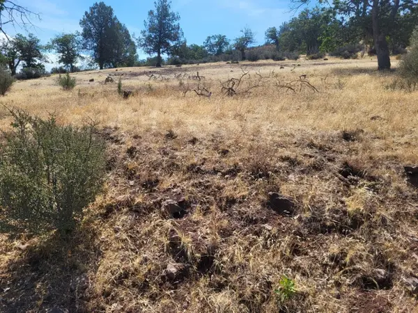 Lot  184 Iron Gate Rd, Hornbrook, CA 96044