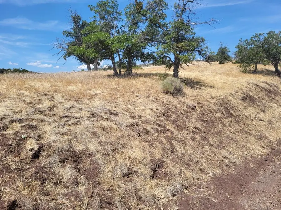 Lot  184 Iron Gate Rd, Hornbrook, CA 96044 - #2