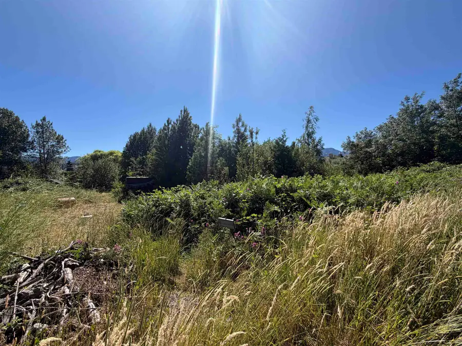 E. Jessie & Alder Lots, Mount Shasta, CA 96067 - #3