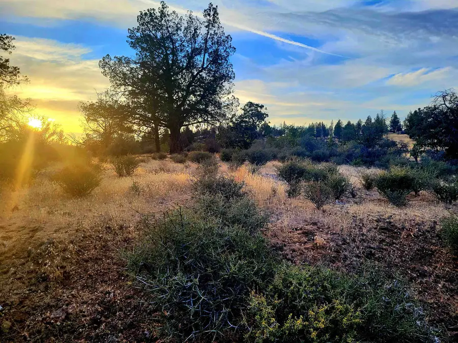 Unit 4 Lot 198 Trout Court, Montague, CA 96064 - #2