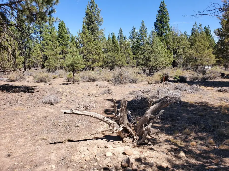 Unit 1 Lot 47 Butte Creek, Macdoel, CA 96058 - #2