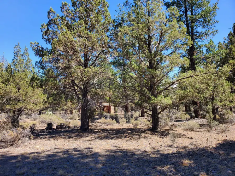 Unit 1 Lot 47 Butte Creek, Macdoel, CA 96058 - #3