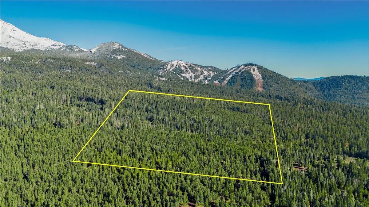 40 Acres Wagon Camp Rd, Mount Shasta, CA 96067 - #1