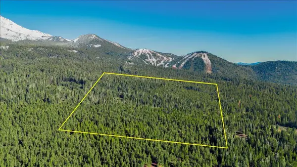 40 Acres Wagon Camp Rd, Mt Shasta, CA 96067