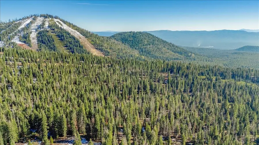 40 Acres Wagon Camp Rd, Mount Shasta, CA 96067 - #2