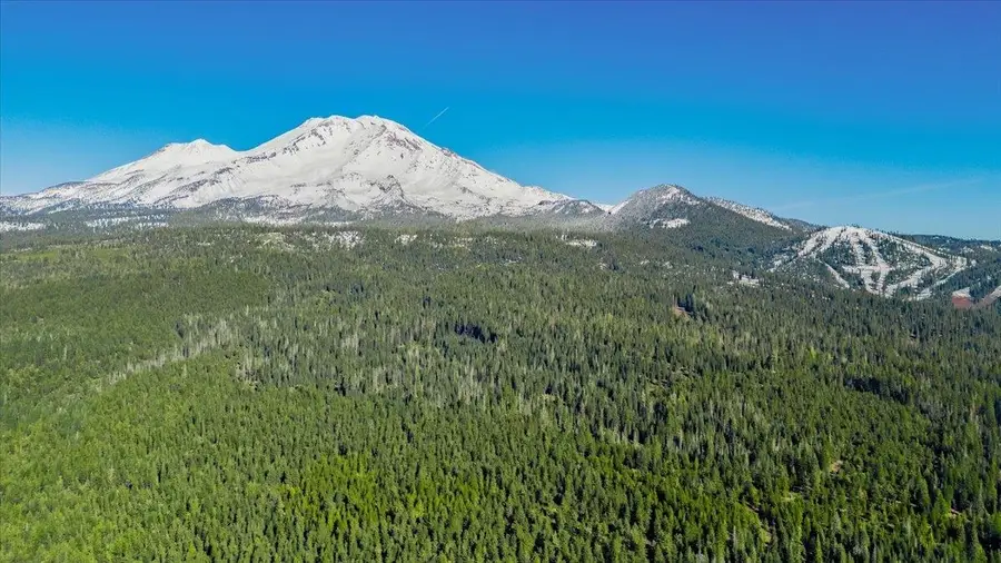 40 Acres Wagon Camp Rd, Mount Shasta, CA 96067 - #3