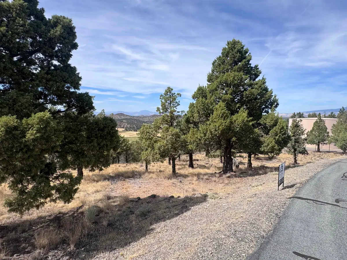 Lot 236 & 237 Stone Crest Dr, Weed, CA 96094 - #1