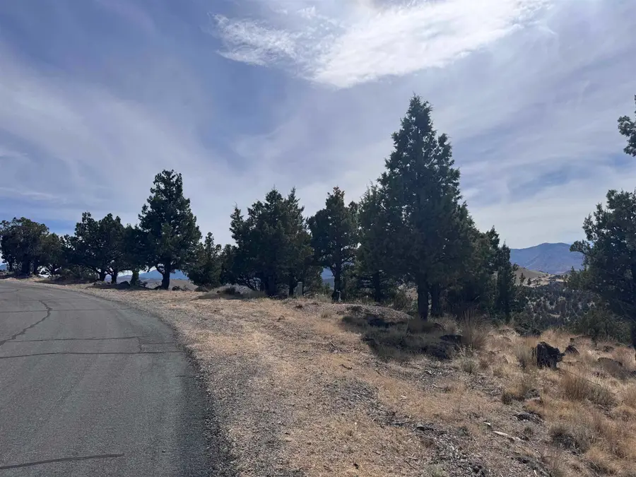 Lot 236 & 237 Stone Crest Dr, Weed, CA 96094 - #3