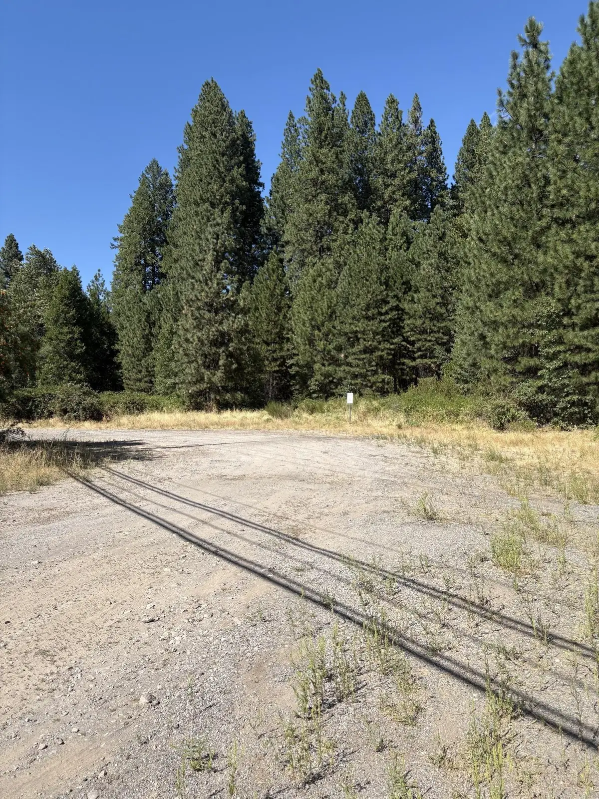 N Mt Shasta Blvd, Mount Shasta, CA 96067 - #1