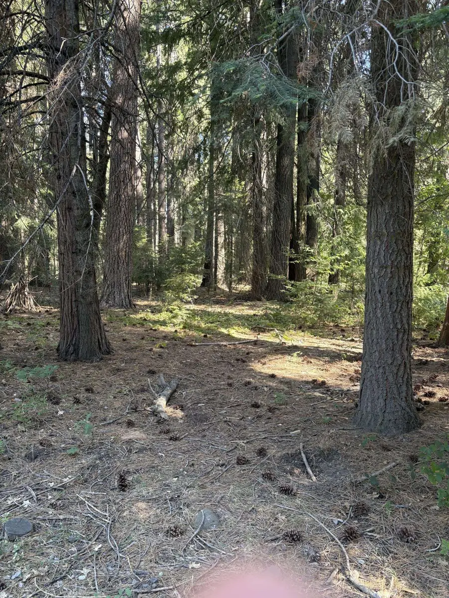 N Mt Shasta Blvd, Mount Shasta, CA 96067 - #3